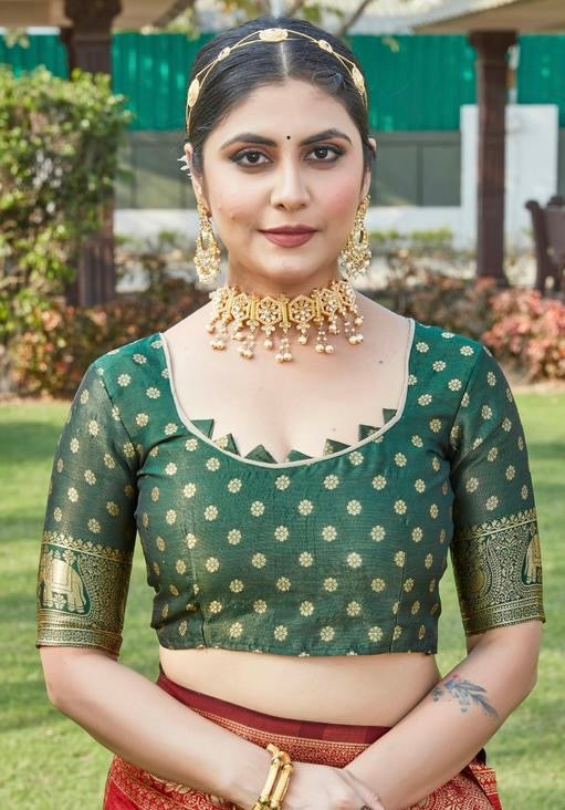 Premium Light Green Banarasi Art Silk Saree | Al Amaan Collection